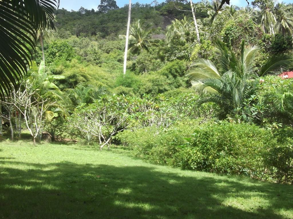 Wilai Villa Lamai Maret Ruang foto