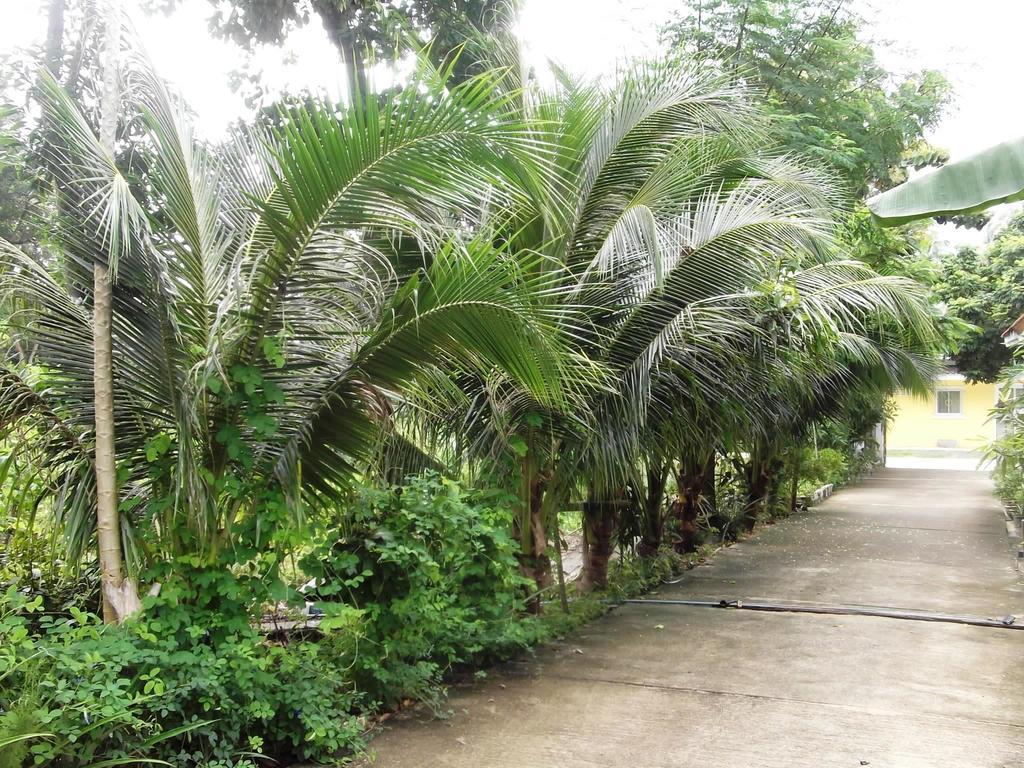 Wilai Villa Lamai Maret Ruang foto